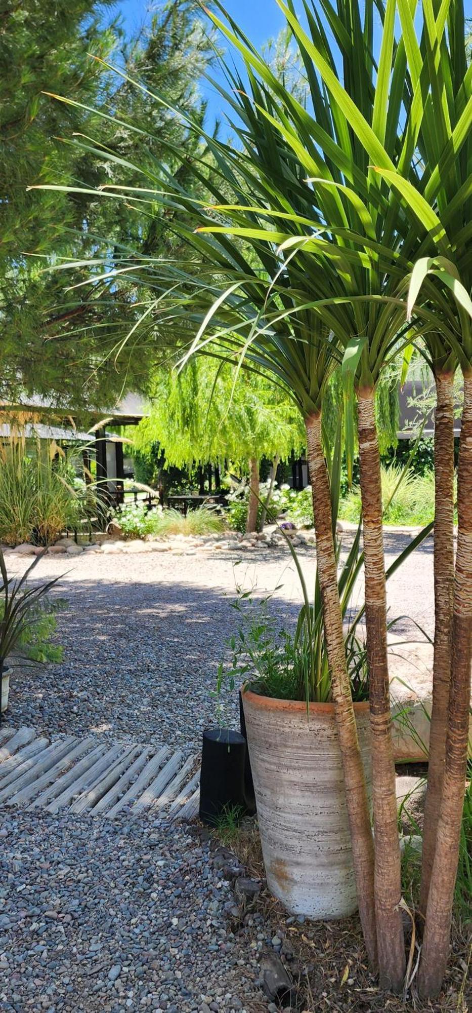 מלון La Consulta Finca La Puebla מראה חיצוני תמונה