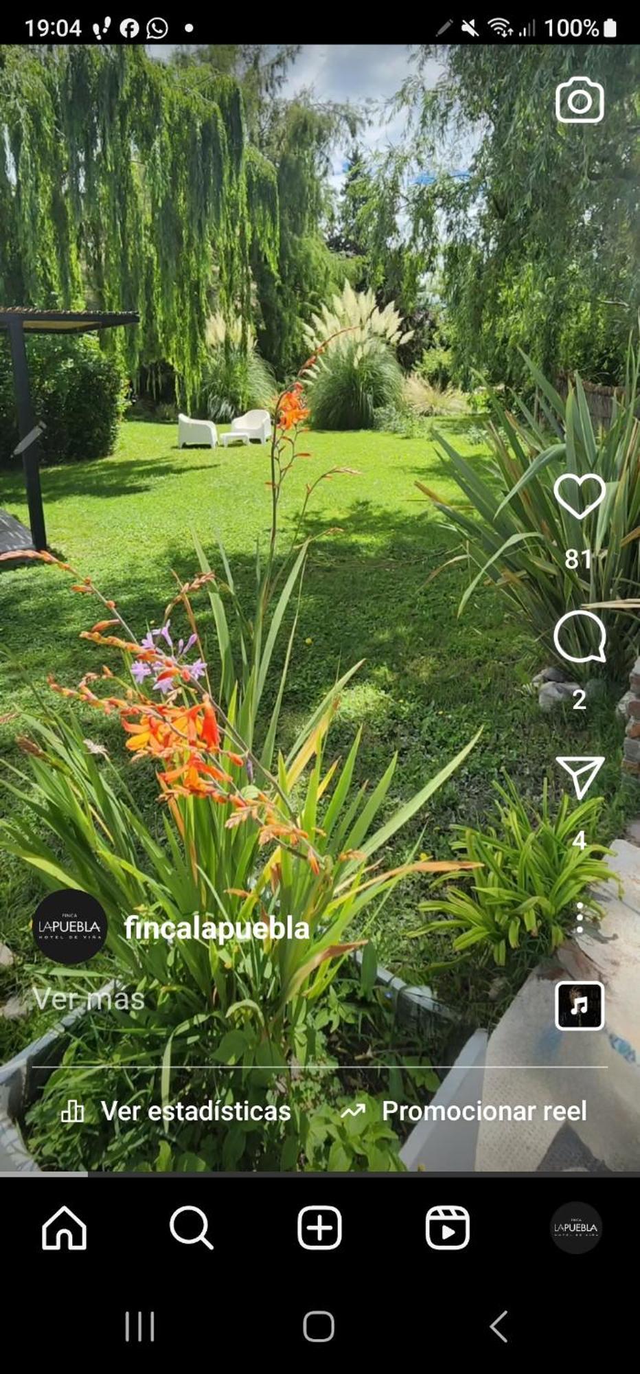 מלון La Consulta Finca La Puebla מראה חיצוני תמונה
